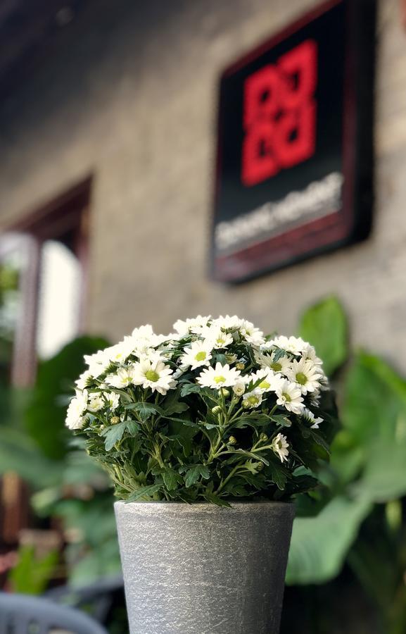 Danang Moment - Boutique Serviced Apartment מראה חיצוני תמונה